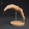 Figurine détaillée d'un combat entre un calmar colossal et un cachalot à l'échelle 1/100, capturant fidèlement les caractéristiques physiques des animaux. Idéale pour les collectionneurs, les amateurs de modèles réduits et les artistes cherchant à créer des dioramas réalistes.