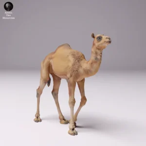 Figurine bébé dromadaire en résine 3D à l'échelle 1/24, idéale pour collectionneurs et dioramas réalistes.