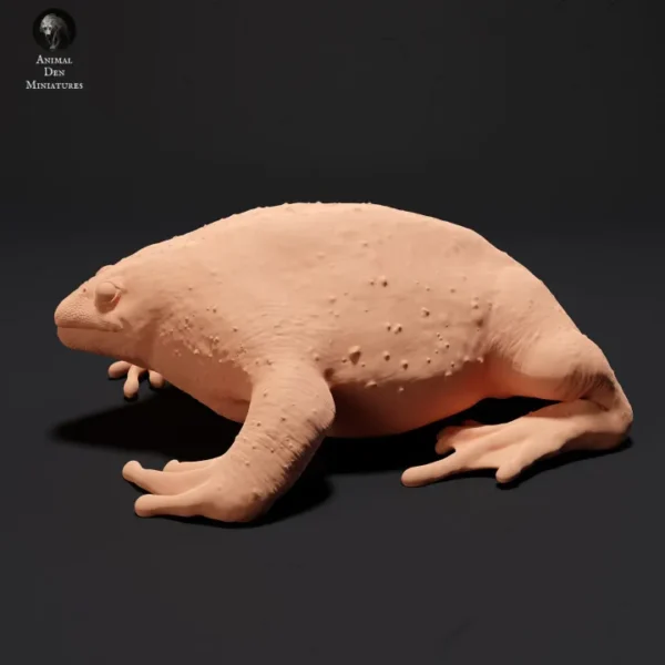 Figurine détaillée d'un crapaud des terriers mexicains, imprimée en résine 3D à l'échelle 1/1, prête à être peinte. Idéale pour les collectionneurs, les amateurs de modèles scientifiques et les artistes cherchant à créer des dioramas réalistes.