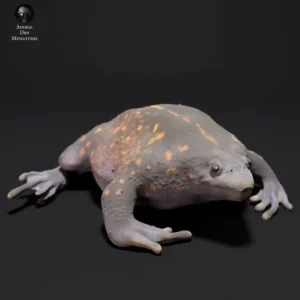 Figurine détaillée d'un crapaud des terriers mexicains, imprimée en résine 3D à l'échelle 1/1, prête à être peinte. Idéale pour les collectionneurs, les amateurs de modèles scientifiques et les artistes cherchant à créer des dioramas réalistes.