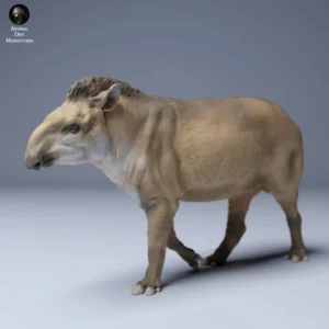 Figurine détaillée d'un tapir à l'échelle 1/24, capturant fidèlement les caractéristiques physiques de l'animal. Idéale pour les collectionneurs, les amateurs de modèles réduits et les artistes cherchant à créer des dioramas réalistes.