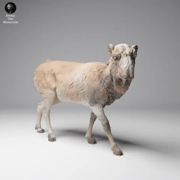Antilope saiga femelle pelage hivere (7) Figurine à peindre représentant une femelle saïga de Mongolie en pelage d'hiver à l'échelle 1/24, parfaite pour les projets artistiques et les dioramas.