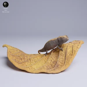 Figurine détaillée d'un caméléon grimpant sur une feuille, échelle 3/1, feuille de 15 cm, caméléon de 7 cm, à peindre pour modélisme.