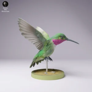 Colibri en résine taille réelle, 88mm x 98mm, à peindre pour dioramas