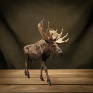 Figurine à peindre représentant un élan à l'échelle 1/24, parfaite pour les projets artistiques et les loisirs créatifs.