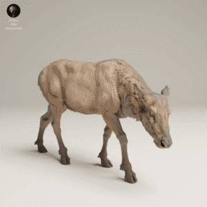 Vue de profil d'une figurine de vache d'élan en résine beige, montrant l'animal marchant doucement, parfait pour observer la justesse de ses proportions anatomiques.