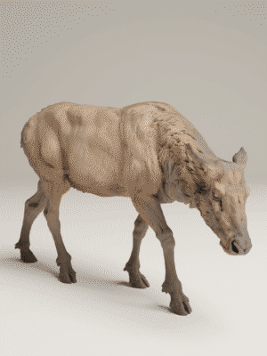 figurine-vache-elan-resine-profil Vue de profil d'une figurine de vache d'élan en résine beige, montrant l'animal marchant doucement, parfait pour observer la justesse de ses proportions anatomiques.