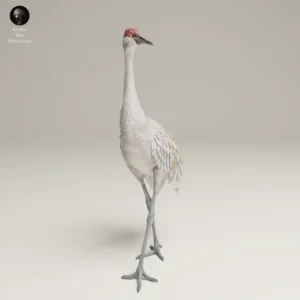 Figurine de grue en résine 3D, pose naturelle, détails fins, figurine de grue réaliste.