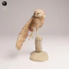 figurine-chouette-resine-peinture Une figurine chouette en résine à peindre, posée délicatement sur une table en bois, montrant l'oiseau de profil en train d'étirer ses ailes avec douceur.