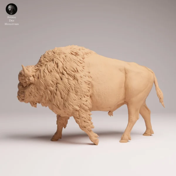 Gros plan sur la tête et le haut du dos de la maquette de bison à l'échelle 1/24, révélant la gravure fine de la fourrure épaisse et la texture réaliste des cornes prêtes à être peintes.