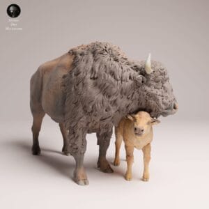 Bison adulte et veau en résine, modèle réaliste pour collection