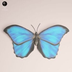 papillon taille réelle résine SLA ailes nervures modélisme