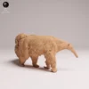 petit-sur-queue-fourmilier-diorama Zoom tendre sur le petit bébé solidement accroché à la queue touffue de sa mère, une pose pleine d'émotion parfaite comme animal sauvage pour diorama nature.