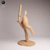 animal-resine-sla-echelle-un-huitieme Un oiseau tropical échelle un huitième posé sur un bureau en bois, attendant d'être peint avec des couleurs acryliques vibrantes par un passionné.