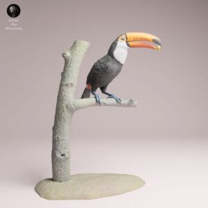 figurine toucan base ovale stable prêt à peindre diorama
