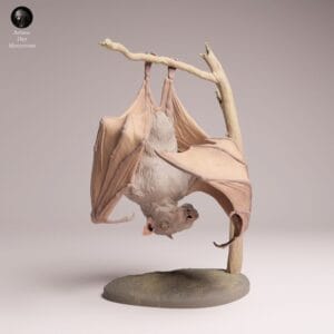 figurine chauve-souris tête de marteau échelle 1/4 résine SLA diorama