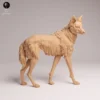 Gros plan sur les reliefs de la fourrure et de la crinière de la figurine animalière, idéal pour mettre en valeur les techniques de peinture.