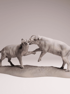 figurine combat babirusa sangliers défenses échelle 1/16 résine SLA diorama