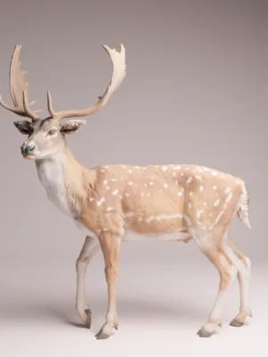 cerf-axis-miniature-diorama-profil Figurine miniature d'un cerf axis vue de profil, montrant les détails de son pelage tacheté et sa posture alerte, posée sur un établi de création en bois.