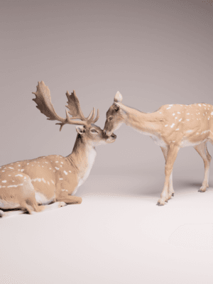 cerf biche échelle 1/24 résine SLA collection faune réaliste