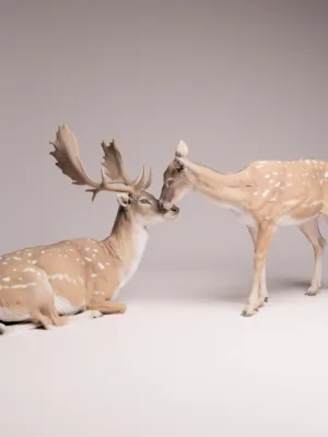 figurine-cerf-biche-tendre-affection-face Un couple de cerfs miniatures vus de face, le cerf est assis majestueusement pendant que la biche debout penche doucement la tête pour toucher son museau.