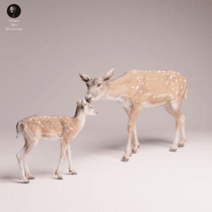 biche et faon échelle 1/24 résine SLA collection nature
