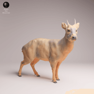 Miniature Pudu en résine SLA 80×35×67 mm pour collection et jeu de rôle