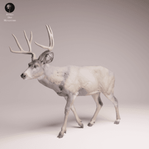 figurine cerf mulet marche échelle 1/24 résine SLA diorama