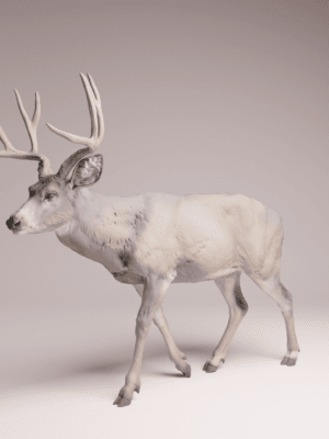 figurine cerf mulet marche échelle 1/24 résine SLA diorama