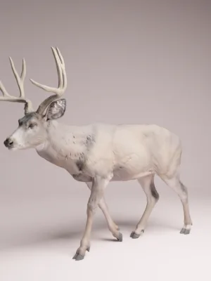 figurine-cerf-mulet-marche-profil Figurine miniature d'un cerf mulet en résine, vue de profil montrant sa patte avant levée en plein mouvement de marche fluide.