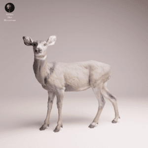 figurine biche 1/24 résine SLA diorama