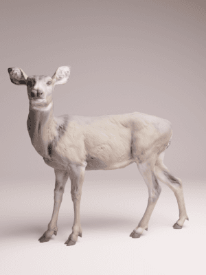 figurine biche 1/24 résine SLA diorama