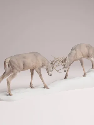 figurine-cerfs-combat-diorama Vue d'ensemble d'une figurine de cerfs en combat pour diorama à l'échelle 1/24, montrant deux mâles affrontant leurs bois sur un socle rocheux.