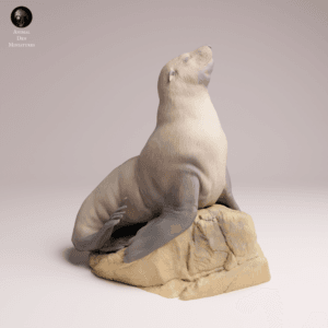 Figurine femelle phoque à fourrure du Cap 1/24 pour modélisme et peinture