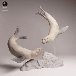 Ensemble de 2 phoques à fourrure du Cap 1/24 pour diorama marin