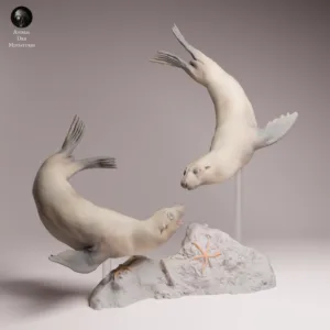 Deux figurines miniatures de phoques à fourrure du Cap nageant gracieusement autour d'un rocher, fixées sur des supports transparents pour simuler l'eau d'un diorama.