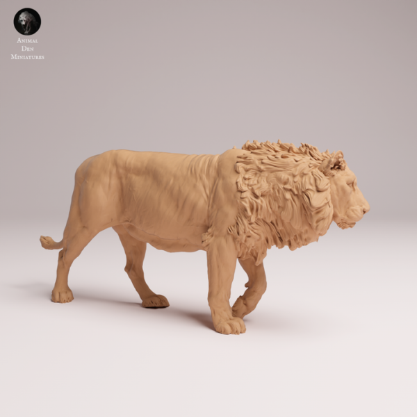 lion-asie-crinière-détails-modélisme Lion d'Asie en marche miniature 1/24 détails crinière modélisme
