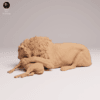 Lion en résine échelle 1/24 pour scène de prédation réaliste