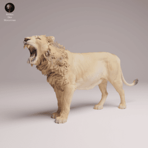 Lion d'Asie 1/24 en résine SLA pour diorama réaliste