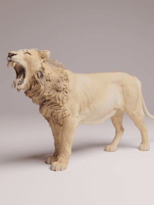 Lion d'Asie 1/24 en résine SLA pour diorama réaliste