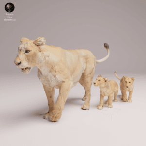 Lionne d'Asie 1/24 avec lionceaux en résine SLA pour diorama réaliste