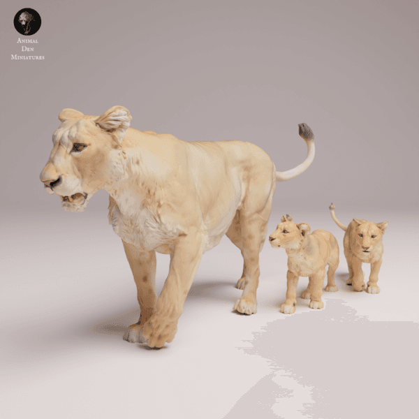 Lionne d'Asie 1/24 avec lionceaux en résine SLA pour diorama réaliste