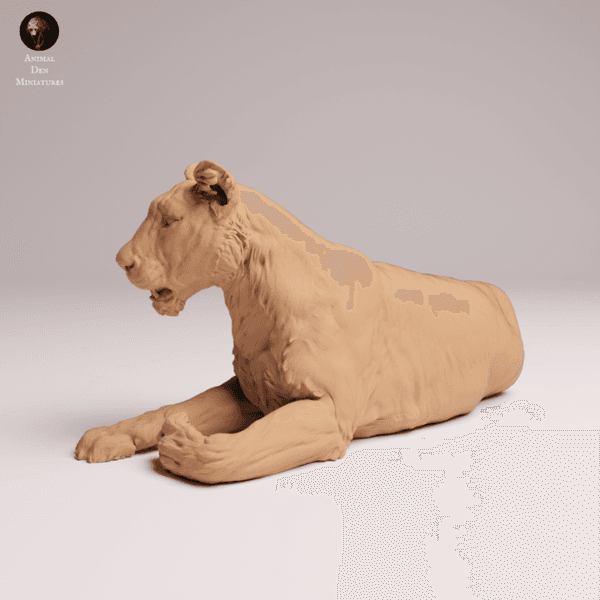 lionne-asie-résine-1-24-collection Lionne d'Asie en résine 1/24 pour collection et peinture