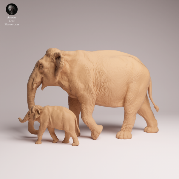 elephant-famille-details-anatomiques Éléphant famille détails anatomiques ultra-précis