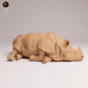 Détails texture rhinocéros miniature 1/32 résine SLA