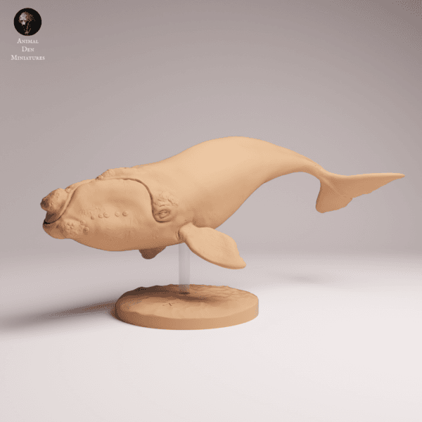 Baleine en résine échelle 1/100 sur socle pour modélisme