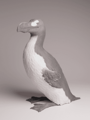 Grand Pingouin 1/16 en résine pour collection d’histoire naturelle