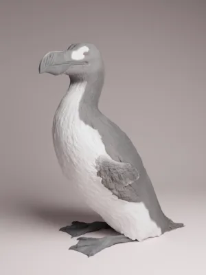 grand-pingouin-1-16-resine-collection Grand Pingouin 1/16 en résine pour collection d’histoire naturelle