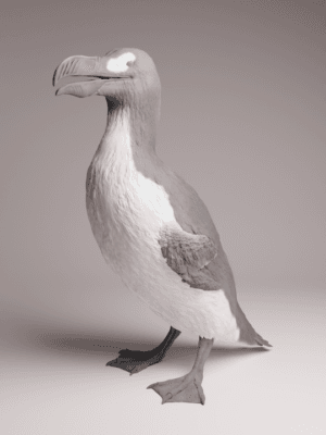 Figurine Grand Pingouin 1/16 en résine pour collection histoire naturelle