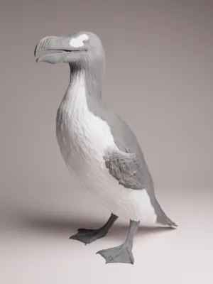 grand-pingouin-1-16-collection-histoire-naturelle Figurine Grand Pingouin 1/16 en résine pour collection histoire naturelle